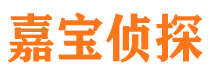 秦安市侦探公司